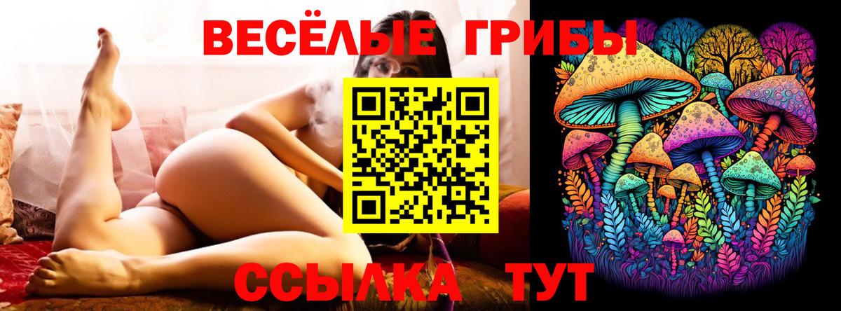 Псилоцибиновые грибы Cubensis Ишим