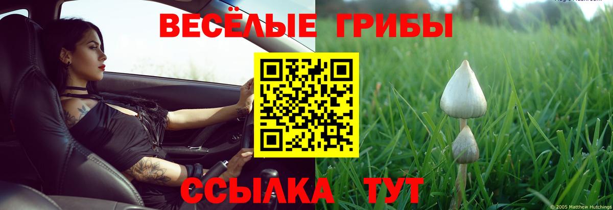 Псилоцибиновые грибы прущие грибы  Вход с VPN  Ишим 